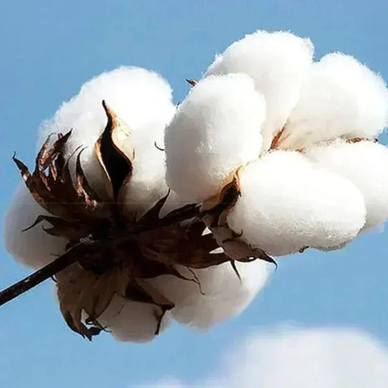 Hip Hop Rapper Eminem Slim Hi Kids Do You Like Violence 2025 Autumn/Winter 100% Pure Cotton Printing Hoodie Men Fashion Oversize