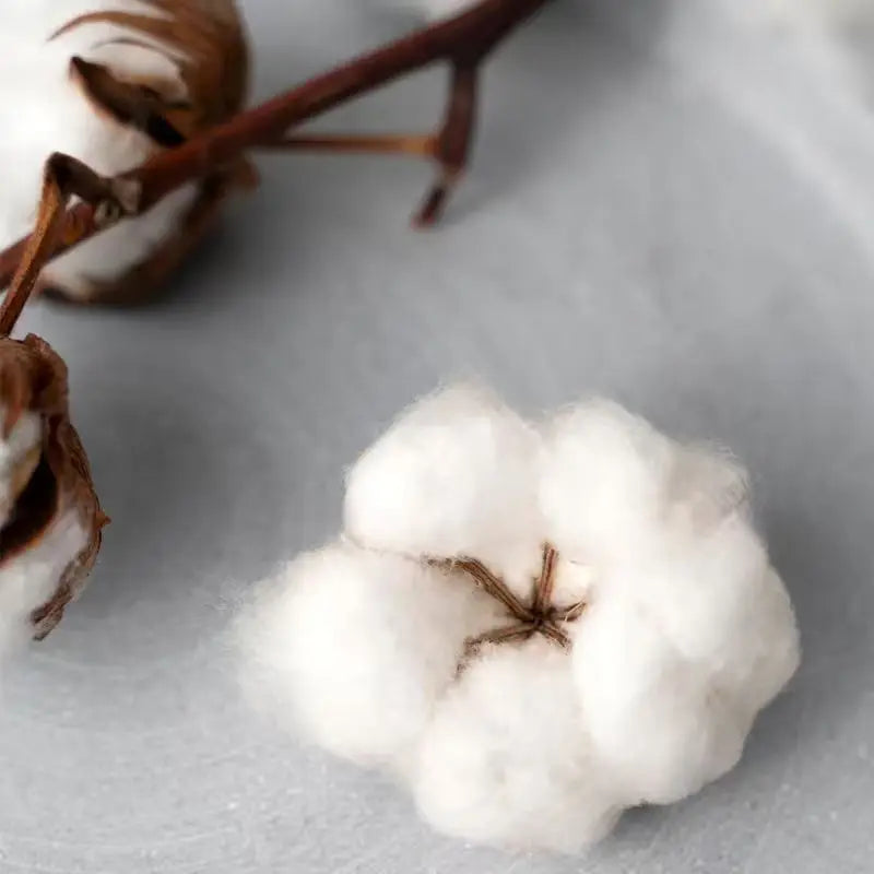 Rapper 50 Cent Tour 2025 Album Graphic T Shirts Mens Clothing Hip Hop Rock Short Sleeve T-shirt Fashion Oversized Cotton T Shirt